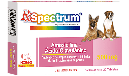 Rx Spectrum Amoxicilina y Ácido Clavulánico 500mg Caja 20 Tabletas