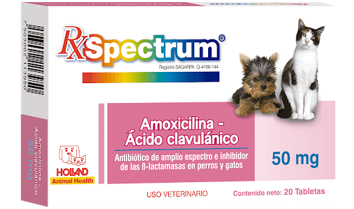 Rx Spectrum Amoxicilina y Ácido Clavulánico 50mg Caja 20 Tabletas