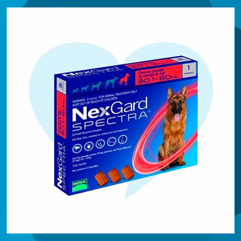 NexGard Spectra 30.1 a 60kg 1 Tableta Masticable