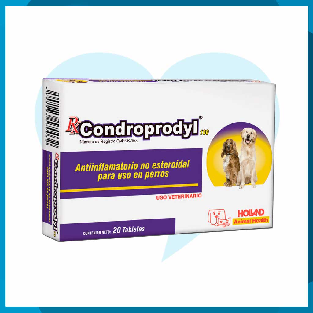 Rx Condroprodyl 100mg 20 tabletas