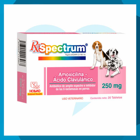 Rx Spectrum Amoxicilina y Ácido Clavulánico 250mg Caja 20 Tabletas