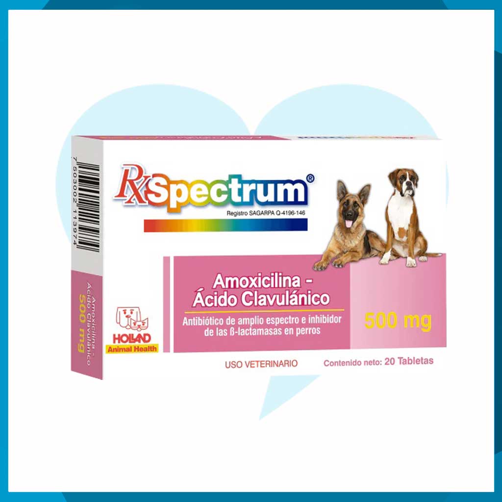 Rx Spectrum Amoxicilina y Ácido Clavulánico 500mg Caja 20 Tabletas