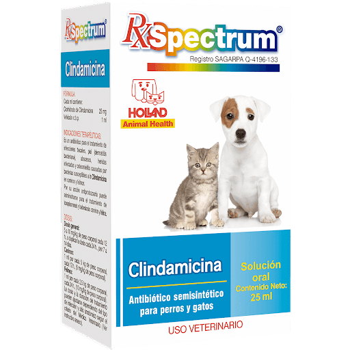 Rx Spectrum Clindamicina Solución Oral 25ml