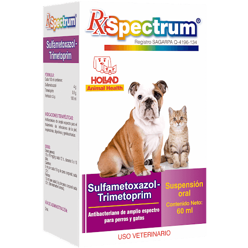 Rx Spectrum Sulfametoxazol-trimetoprim Suspensión Oral 60ml