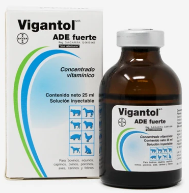 Vigantol ADE Fuerte Solución Inyectable 25ml