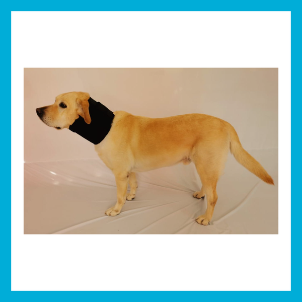 Collar Inmovilizador Para Perro MED 34.5cm a 40cm