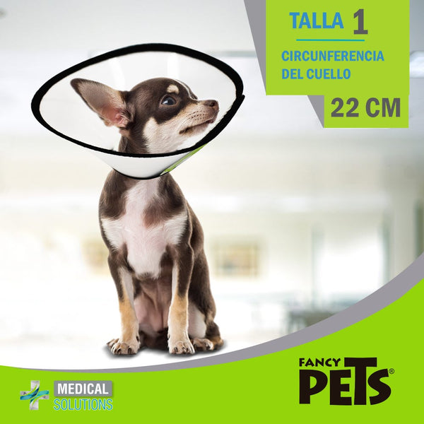 MS COLLAR ISABELINO TALLA 1 (22 CM)