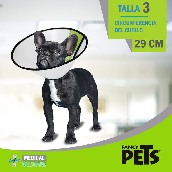 MS COLLAR ISABELINO TALLA 3 (29 CM)