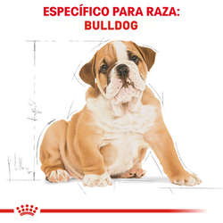 Alimento Royal Canin BHN Bulldog Puppy 2.72kg